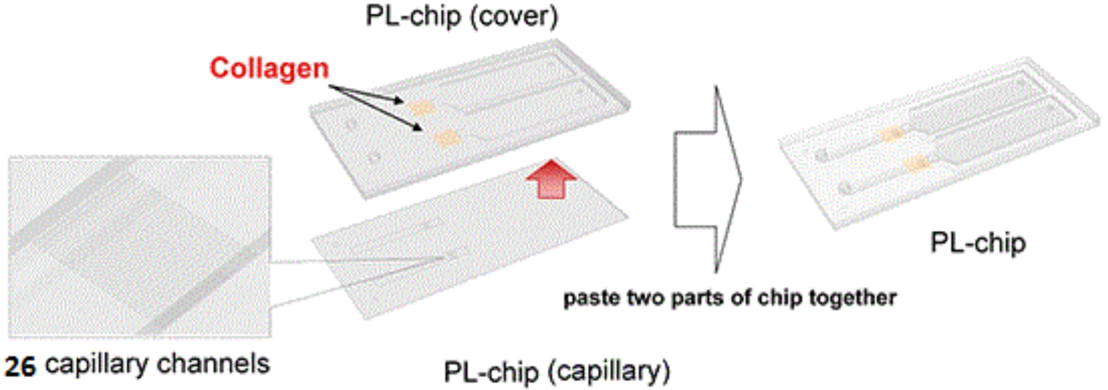 T-TAS01 thrombus formation PL Chip assay